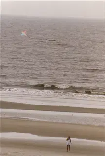 small_janet kite.webp